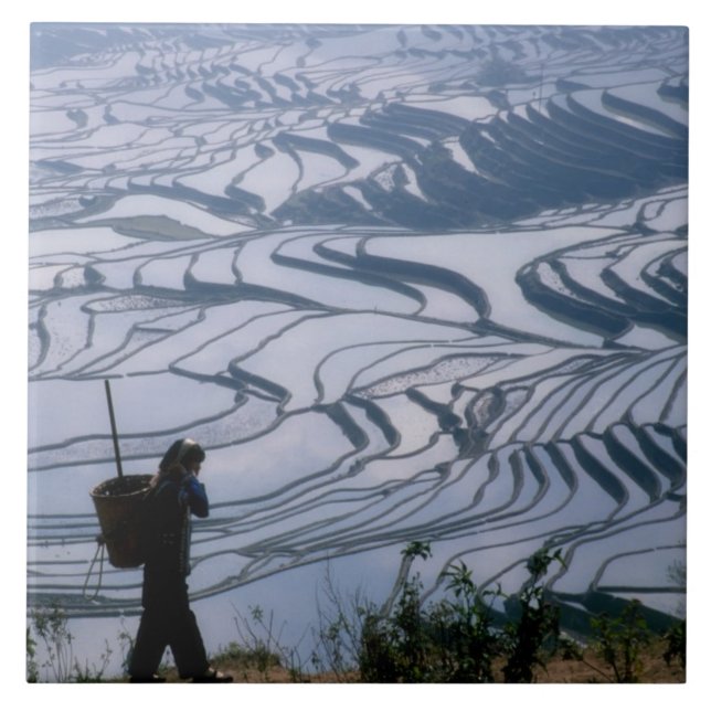 Hani girl carrying basket with rice terrace, tile (Front)
