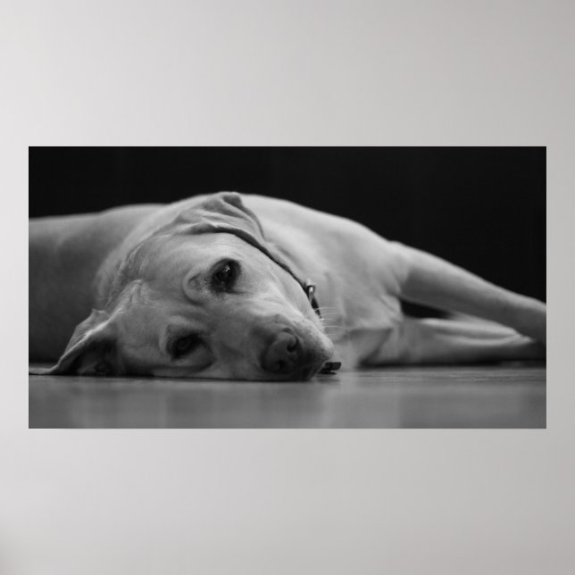 Hank 'ONE' Canvas Poster (Front)