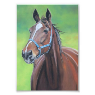 Hanover Horse Art Photo Print