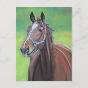Hanover Horse Art Postcard