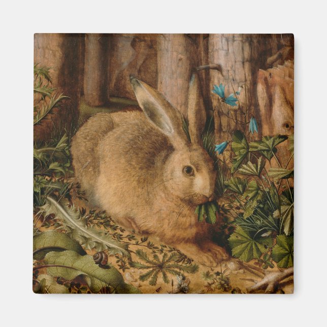Hans Hoffmann A Hare In The Forest Magnet (Front)