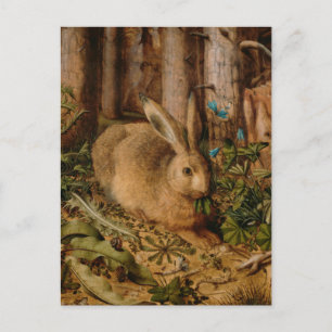 Hans Hoffmann A Hare In The Forest Postcard