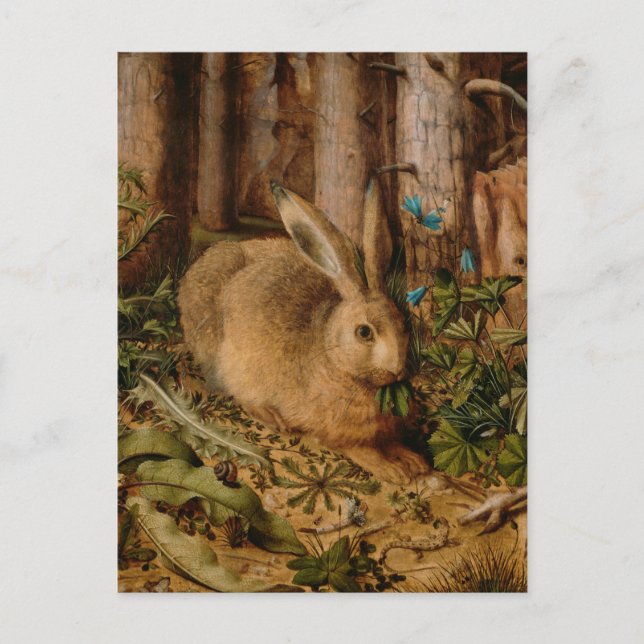 Hans Hoffmann A Hare In The Forest Postcard (Front)