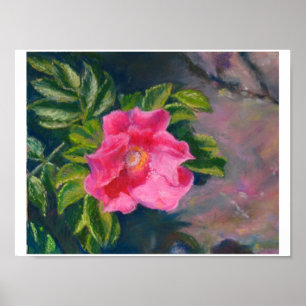 Hansa Shore Rose Poster