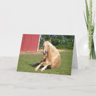 Hansome Palomino Horse Card
