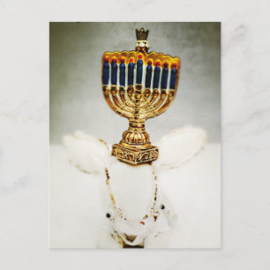 Hanukkah Greeting Card - Aldo a Rabbit and Menorah