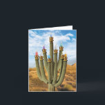 Hanukkah Greeting Card - Prickly Menorah<br><div class="desc">About this item * INSIDE GREETING: "Warm Wishes for a Happy Hanukkah!" COVER - [image of cactus in shape of menorah with candles] * CARD SIZE - Receive 1, regular sized notecard with 5x7 Inch envelope. We offer funny cards that come either blank or greeted inside, so be sure to...</div>