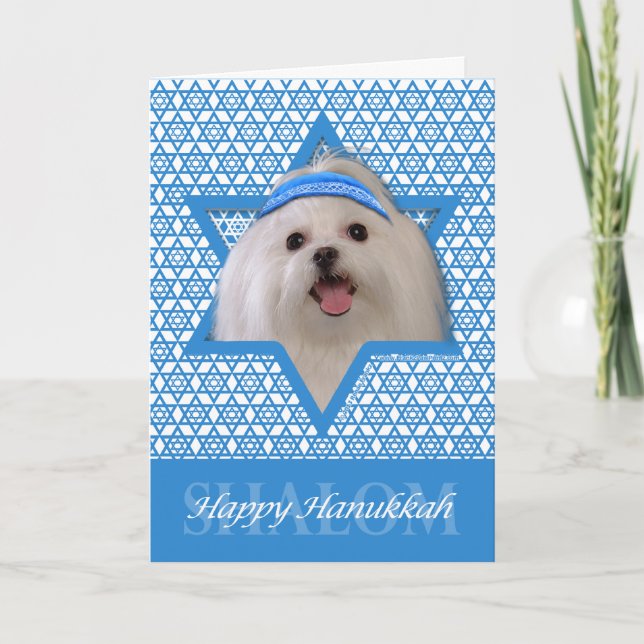 Hanukkah Star of David - Maltese Holiday Card (Front)