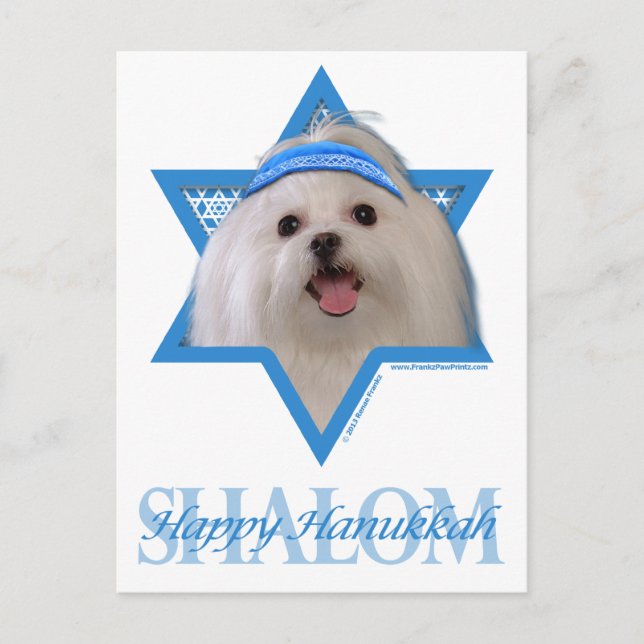 Hanukkah Star of David - Maltese Holiday Postcard (Front)