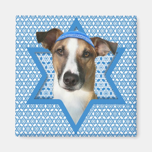 Hanukkah Star of David - Whollie - Coney Magnet (Front)