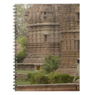 Hanuman Langurs or Black-faced, Common or Grey Notebook