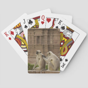 Hanuman Langurs or Black-faced, Common or Grey Playing Cards