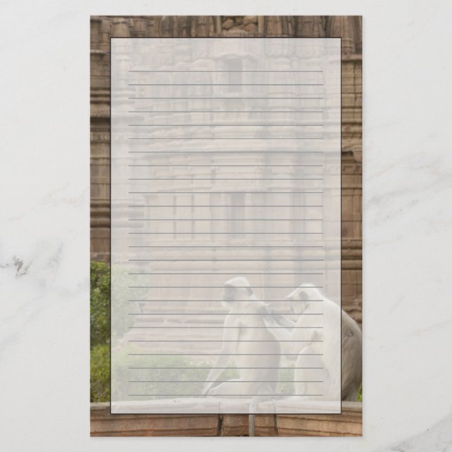Hanuman Langurs or Black-faced, Common or Grey Stationery (Front)