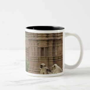 Hanuman Langurs or Black-faced, Common or Grey Two-Tone Coffee Mug