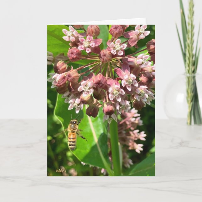 HapBEE birthday bumblebee birthday card (Front)