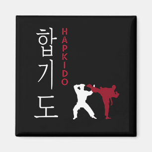 Hapkido Korean Martial Arts Magnet