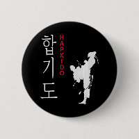Hapkido Selfdefense Korean Martial Arts