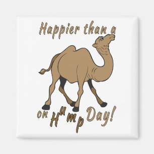 Happier than a Camel on Hump Day Magnet