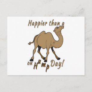 Happier than a Camel on Hump Day Postcard