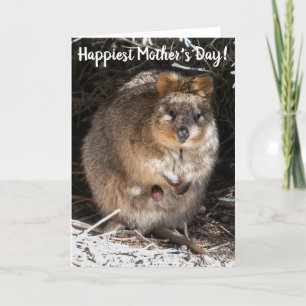 Happiest Happy Mother's Day Quokka Australia Card