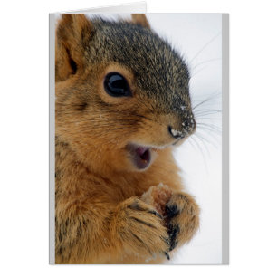 Happiest Squirrel Ever