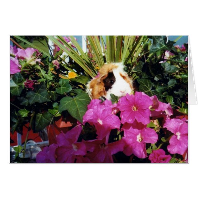 Happiness (Front Horizontal)