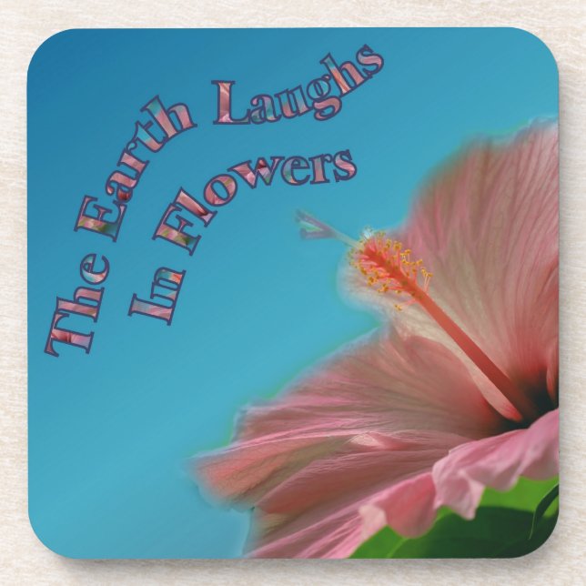 Happiness Hibiscus Flower Inspirational Coaster Se (Front)