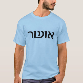 Happiness in Hebrew T-Shirt