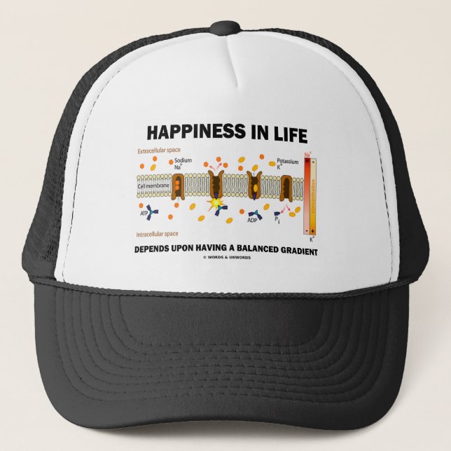 Happiness In Life Depends Upon Balanced Gradient Trucker Hat (Front)