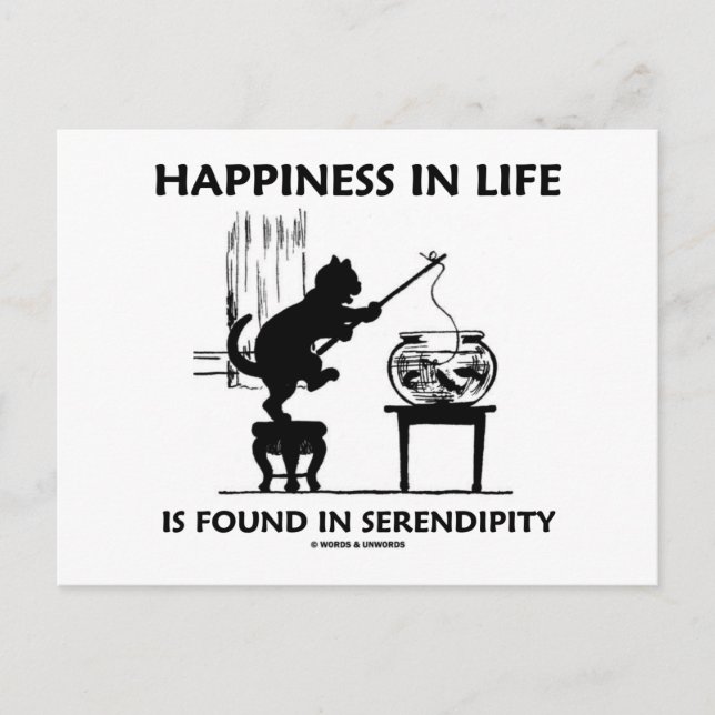 Happiness In Life Is Found In Serendipity (Cat) Postcard (Front)