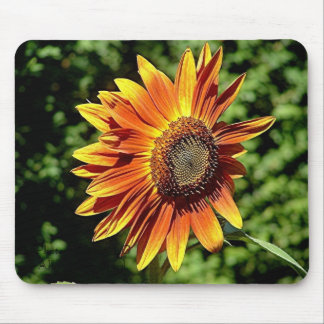 "Happiness in Orange" Mouse Pad