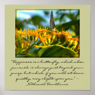 Happiness is a Butterfly framed print