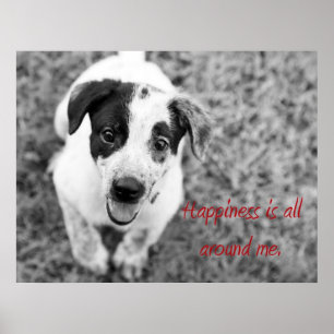 Happiness is all around me poster