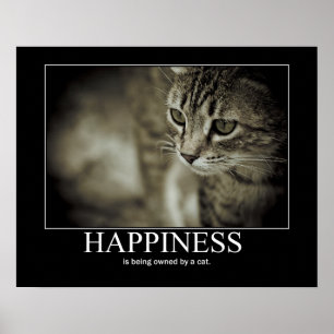 Happiness is Being Owned by a Cat Poster