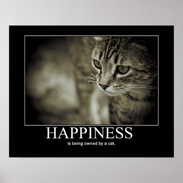 Happiness is Being Owned by a Cat Poster (Front)