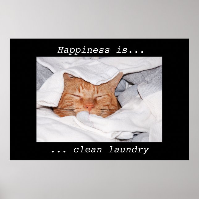 Happiness is clean laundry poster (Front)
