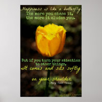 Happiness is like a butterfly Poster