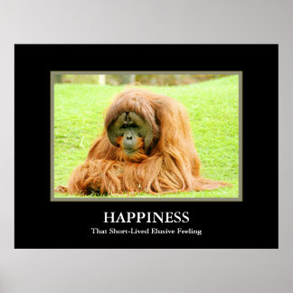 Happiness ~ That Short-Lived Elusive Feeling Poster