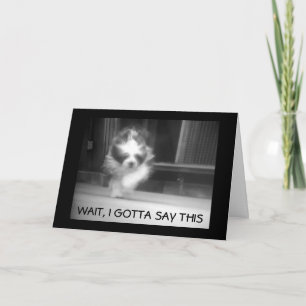 HAPPY **13th BIRTHDAY** SAYS COOL SHEEPDOG Card