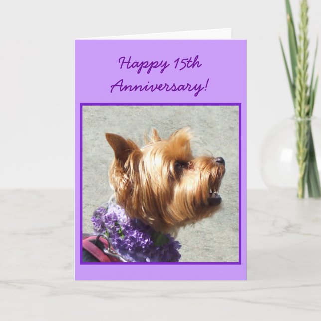 Happy 15th Anniversary Yorkshire Terrier card (Front)