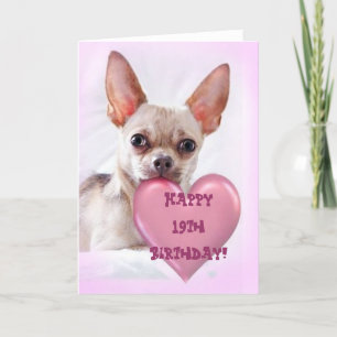 Happy 19th Birthday Chihuahua greeting card