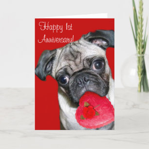 Happy 1st Anniversary pug greeting card