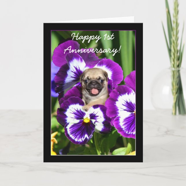 Happy 1st Anniversary Pug in pansies card (Front)
