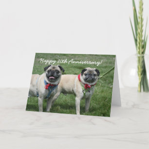 Happy 20th Anniversary pug greeting card