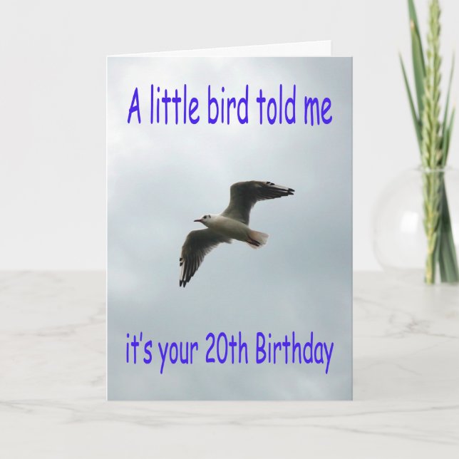Happy 20th Birthday Flying Seagull bird Card (Front)
