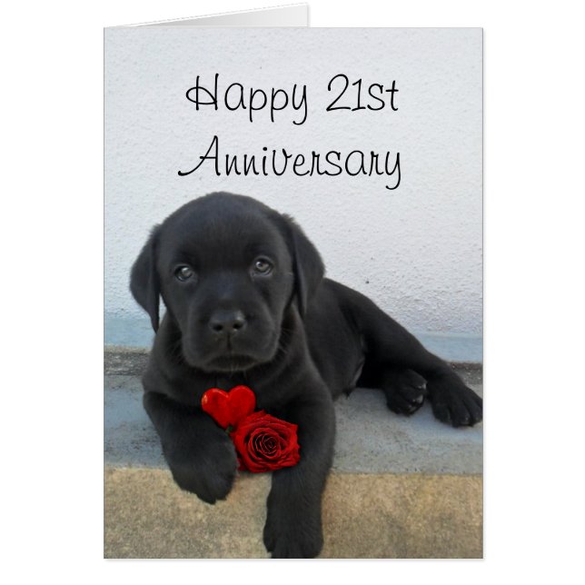 Happy 21st Anniversary Labrador puppy card (Front)