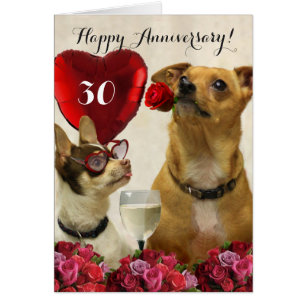 Happy 30th Anniversary chihuahua dogs card
