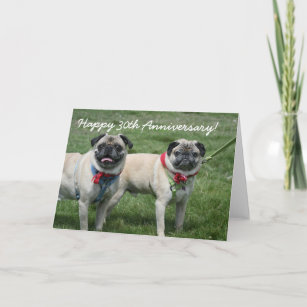 Happy 30th Anniversary pug greeting card
