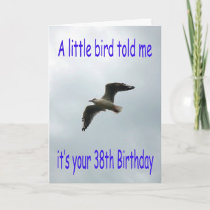 Happy 38th Birthday Flying Seagull bird Card