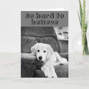 HAPPY ***40th*** BIRTHDAY TO YOU from CUTE PUP Card